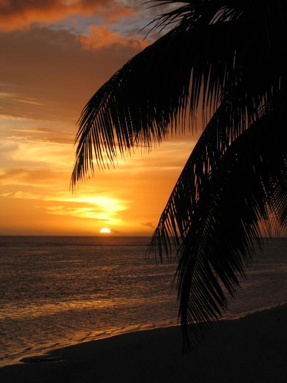 Motu Beachfront Art Villas Rarotonga Oda fotoğraf